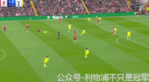 开云体育-评利物浦1-1热刺：结果是灾难！但过程并非一无是处
